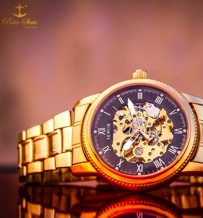 Patia Stats "GOLD MINE" - Wrist Nerve Sensing Self-Winding Timepiece