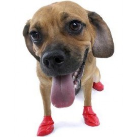 Pets R Kids® Heat Protection Water-Proof Shoes for Dogs