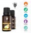 Ginger Essential Oil (PURE & NATURAL - UNDILUTED) Therapeutic Grade - 10 ML - Perfect for Aromatherapy, Relaxation, Skin Therapy & More - by The Yoga Man Lab (10 ml)