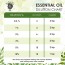 Cypress essential oil (PURE & NATURAL - UNDILUTED) Therapeutic Grade - 10 ML - Perfect for Aromatherapy, Relaxation, Skin Therapy & More - by The Yoga Man Lab