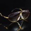 CAZAL® EAGLE 906™ Ruby Gold Crown Metal Sculpture & Charcoal Tinted Dense Lenses Eyewear