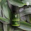 Eucalyptus Essential Oil (PURE & NATURAL - UNDILUTED) Therapeutic Grade - 10 ML - Perfect for Aromatherapy, Relaxation, Skin Therapy & More - by The Yoga Man Lab (10 ml)