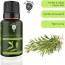 Tea Tree Essential Oil (PURE & NATURAL - UNDILUTED) Therapeutic Grade - 10 ML - Perfect for Aromatherapy, Relaxation, Skin Therapy & More - by The Yoga Man Lab (10 ml)