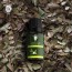 Myrtle Essential Oil (PURE & NATURAL - UNDILUTED) Therapeutic Grade - 10 ML - Perfect for Aromatherapy, Relaxation, Skin Therapy & More - by The Yoga Man Lab (10 ml)