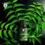 Neem Essential Oil (PURE & NATURAL - UNDILUTED) Therapeutic Grade - 10 ML - Perfect for Aromatherapy, Relaxation, Skin Therapy & More - by The Yoga Man Lab (10 ml)